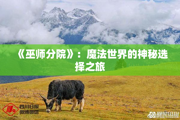 《巫师分院》：魔法世界的神秘选择之旅