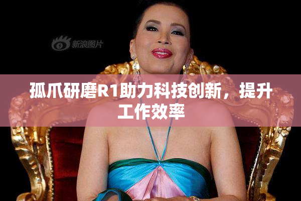 孤爪研磨R1助力科技创新，提升工作效率