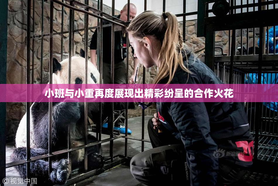 小班与小重再度展现出精彩纷呈的合作火花