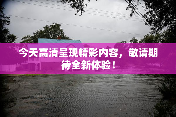 今天高清呈现精彩内容，敬请期待全新体验！
