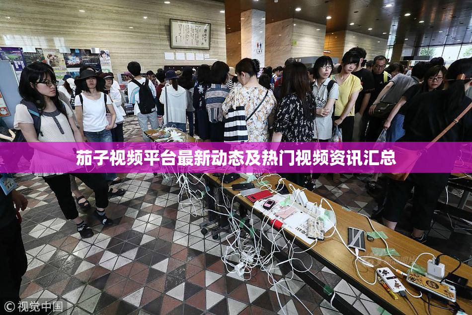 茄子视频平台最新动态及热门视频资讯汇总