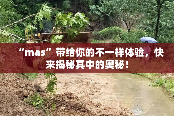 “mas”带给你的不一样体验，快来揭秘其中的奥秘！