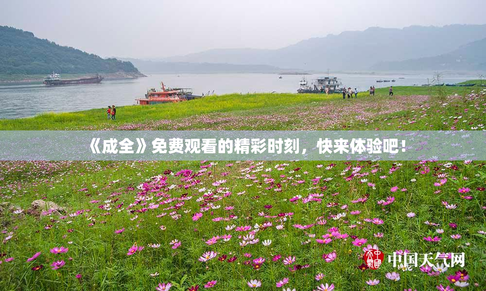 《成全》免费观看的精彩时刻，快来体验吧！