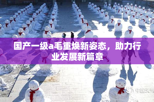 国产一级a毛重焕新姿态，助力行业发展新篇章