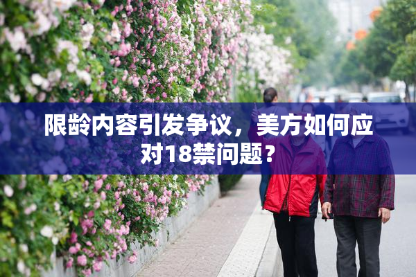 限龄内容引发争议，美方如何应对18禁问题？