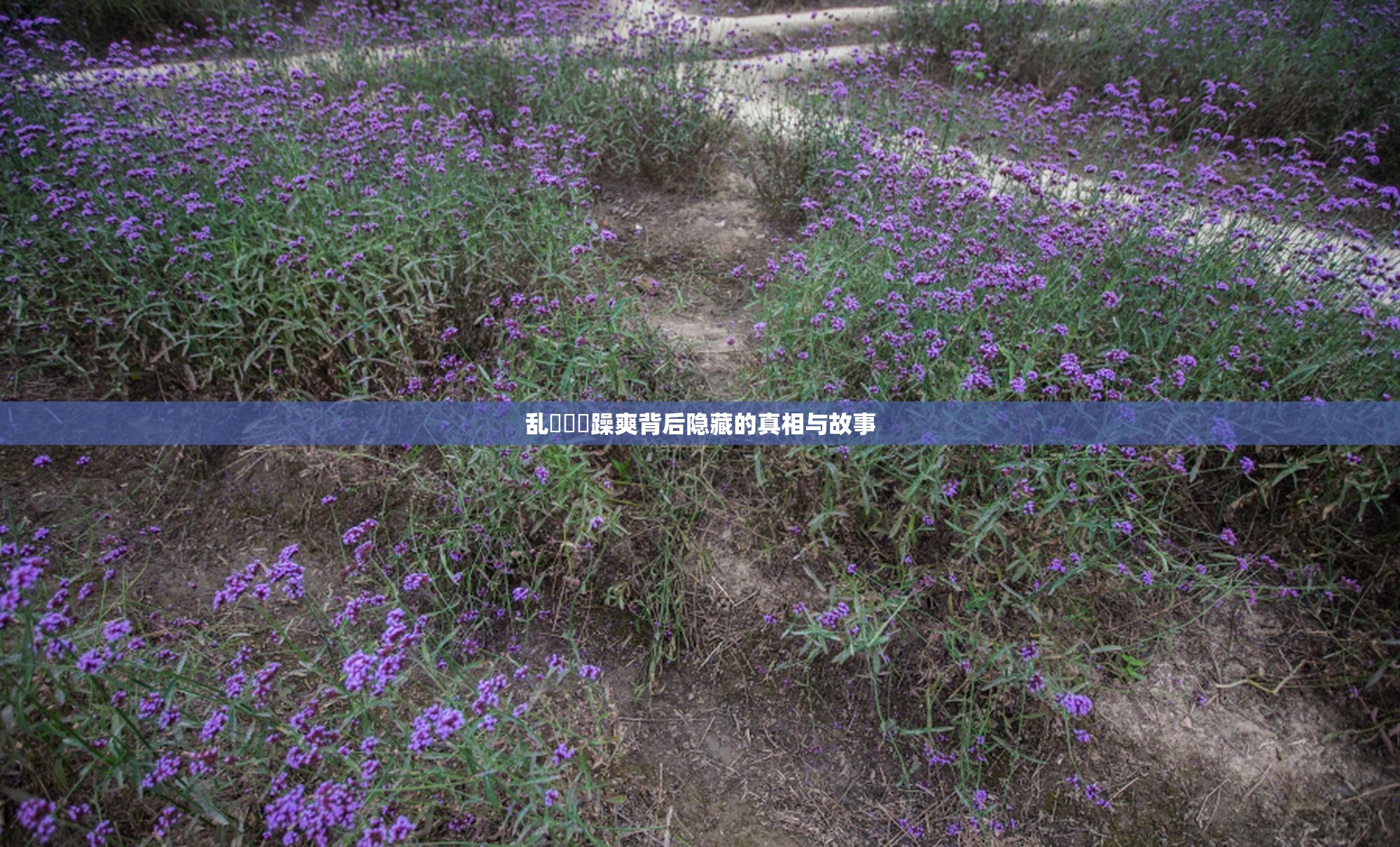 乱婬妺妺躁爽背后隐藏的真相与故事