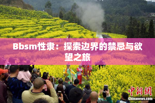 Bbsm性隶：探索边界的禁忌与欲望之旅