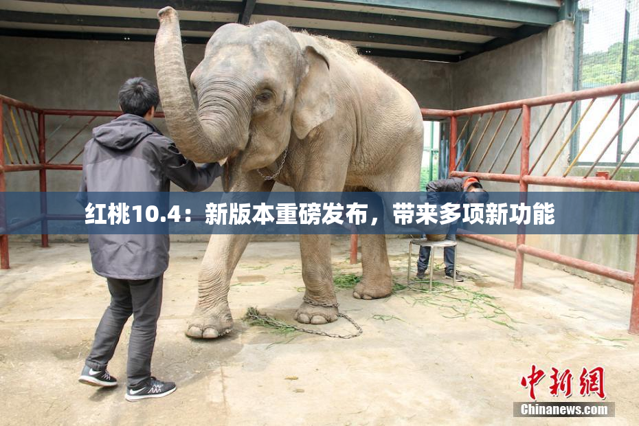 红桃10.4：新版本重磅发布，带来多项新功能