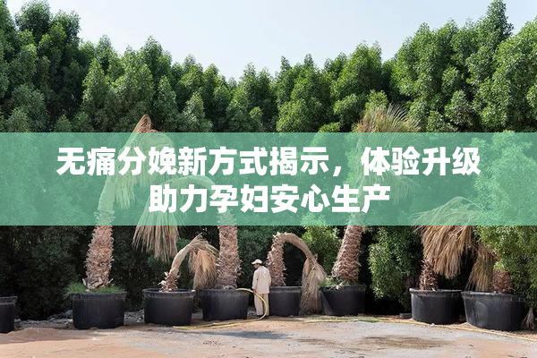 无痛分娩新方式揭示，体验升级助力孕妇安心生产