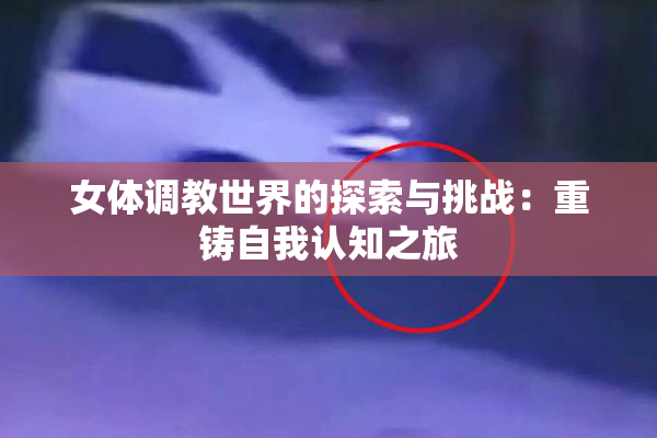 女体调教世界的探索与挑战：重铸自我认知之旅