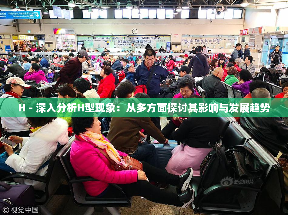 H - 深入分析H型现象：从多方面探讨其影响与发展趋势