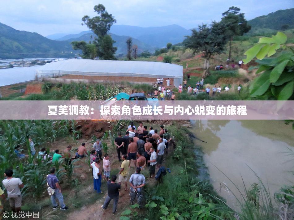 夏芙调教：探索角色成长与内心蜕变的旅程