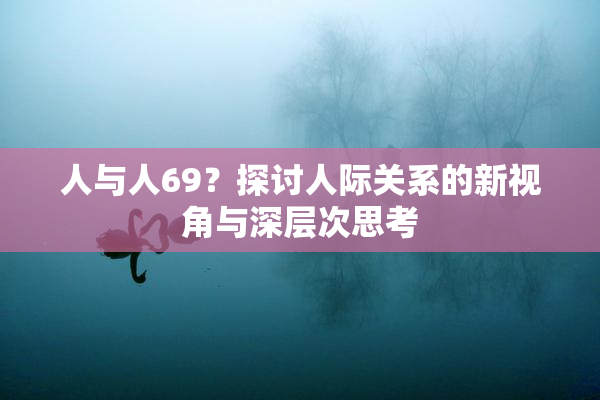 人与人69？探讨人际关系的新视角与深层次思考