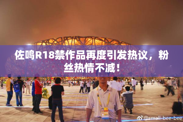 佐鸣R18禁作品再度引发热议，粉丝热情不减！