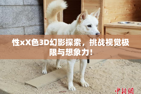 性xX色3D幻影探索，挑战视觉极限与想象力！