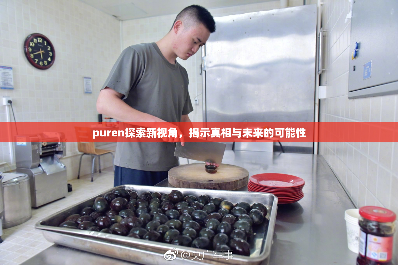 puren探索新视角，揭示真相与未来的可能性