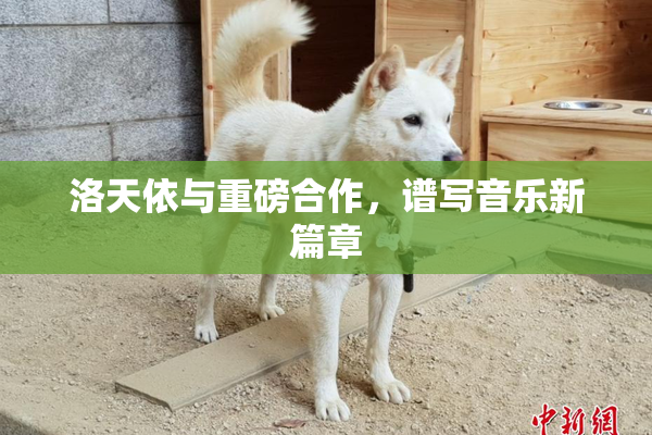 洛天依与重磅合作，谱写音乐新篇章