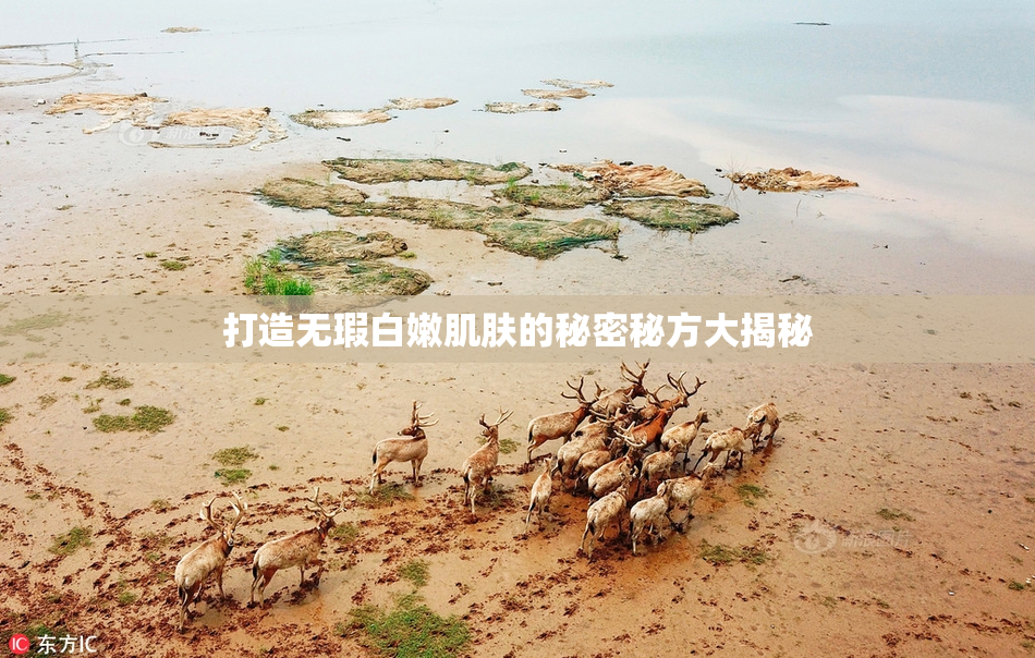打造无瑕白嫩肌肤的秘密秘方大揭秘