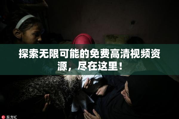 探索无限可能的免费高清视频资源，尽在这里！