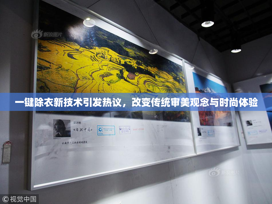一键除衣新技术引发热议，改变传统审美观念与时尚体验