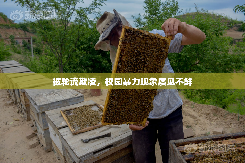 被轮流欺凌，校园暴力现象屡见不鲜