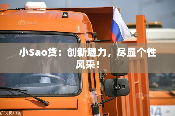 小Sao货：创新魅力，尽显个性风采！