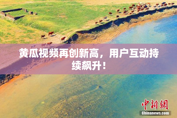 黄瓜视频再创新高，用户互动持续飙升！