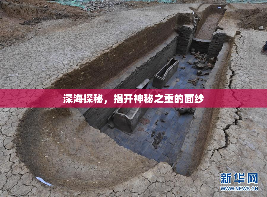 深海探秘，揭开神秘之重的面纱