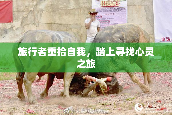 旅行者重拾自我，踏上寻找心灵之旅