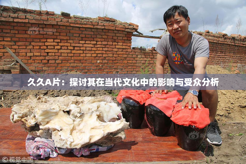 久久A片：探讨其在当代文化中的影响与受众分析