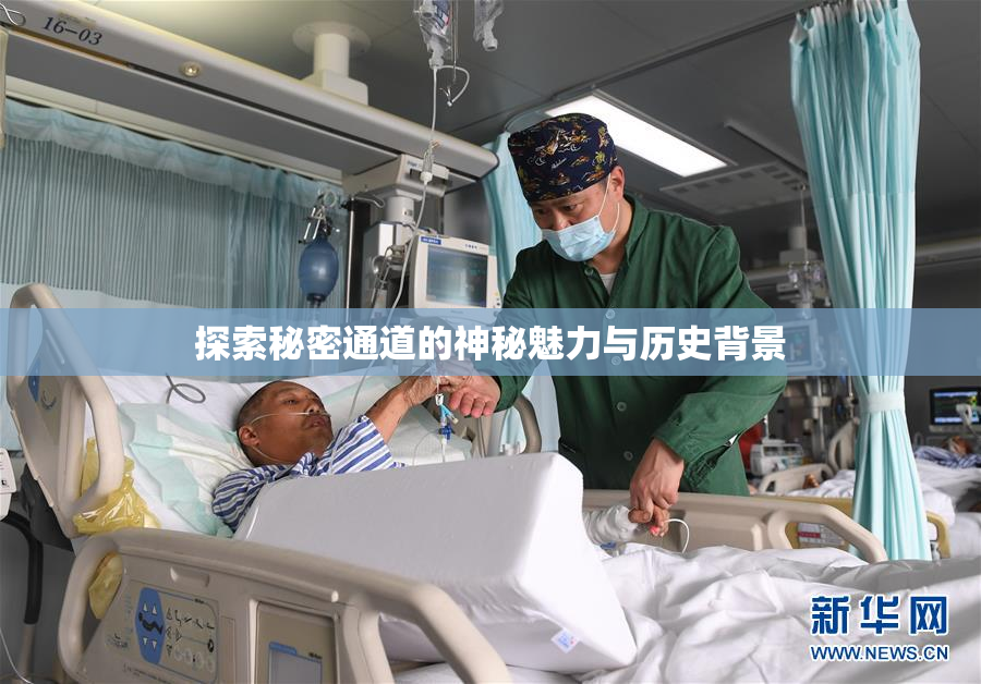 探索秘密通道的神秘魅力与历史背景