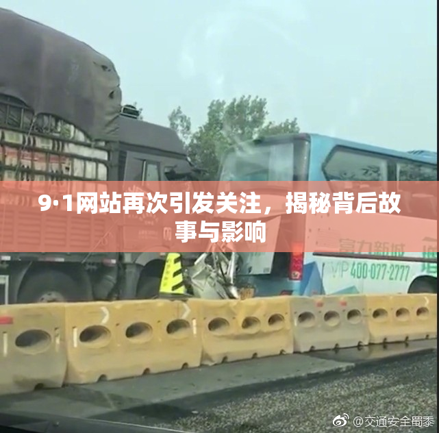 9·1网站再次引发关注，揭秘背后故事与影响