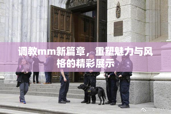 调教mm新篇章，重塑魅力与风格的精彩展示