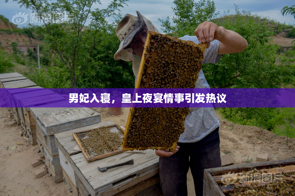 男妃入寝，皇上夜宴情事引发热议