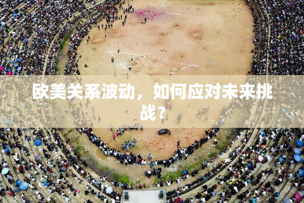 欧美关系波动，如何应对未来挑战？