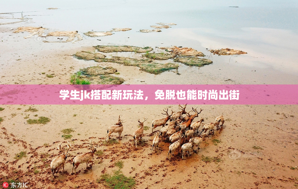 学生jk搭配新玩法，免脱也能时尚出街