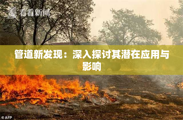 管道新发现：深入探讨其潜在应用与影响