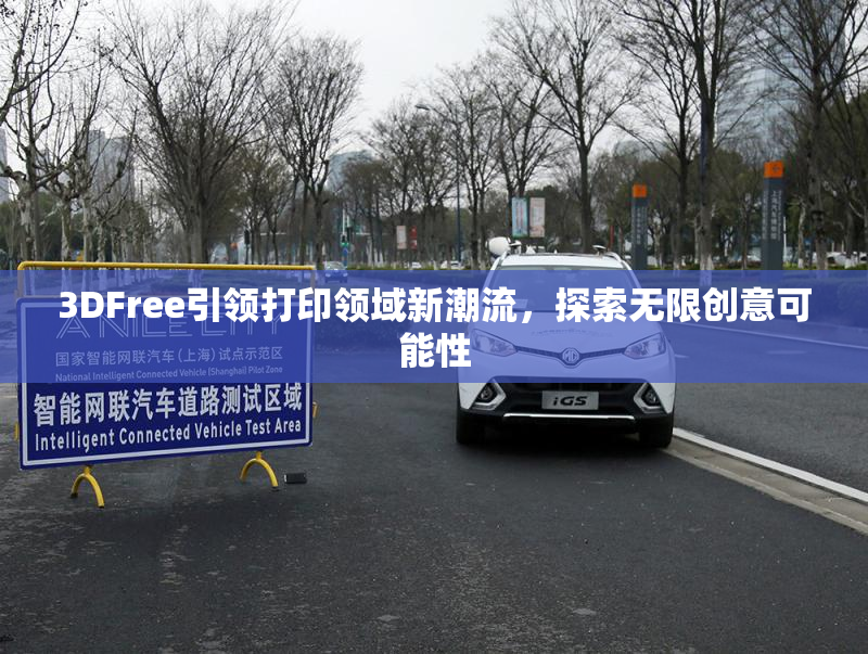 3DFree引领打印领域新潮流，探索无限创意可能性