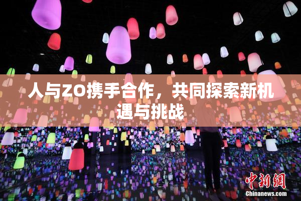人与ZO携手合作，共同探索新机遇与挑战