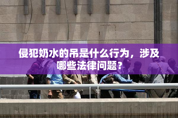 侵犯奶水的吊是什么行为，涉及哪些法律问题？