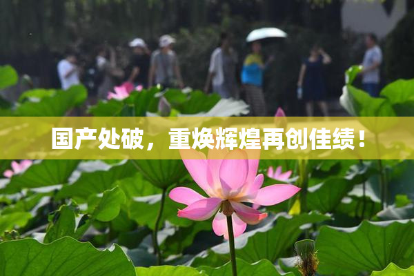 国产处破，重焕辉煌再创佳绩！