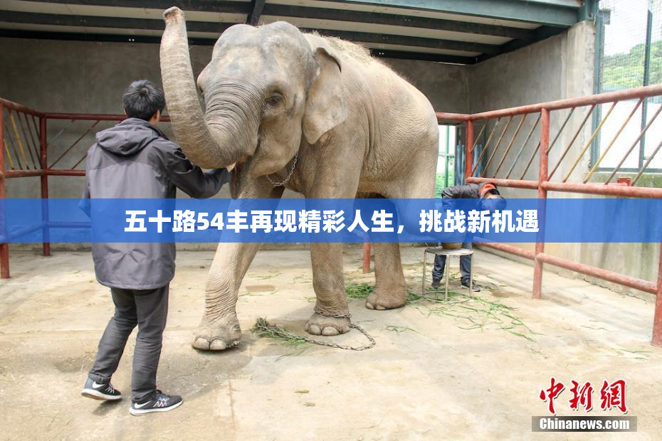 五十路54丰再现精彩人生，挑战新机遇