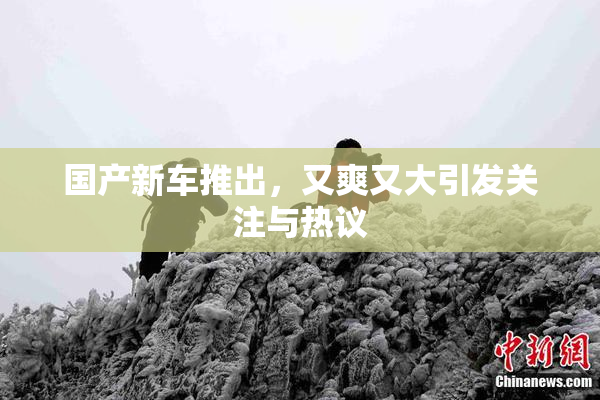 国产新车推出，又爽又大引发关注与热议