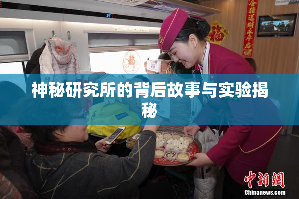 神秘研究所的背后故事与实验揭秘