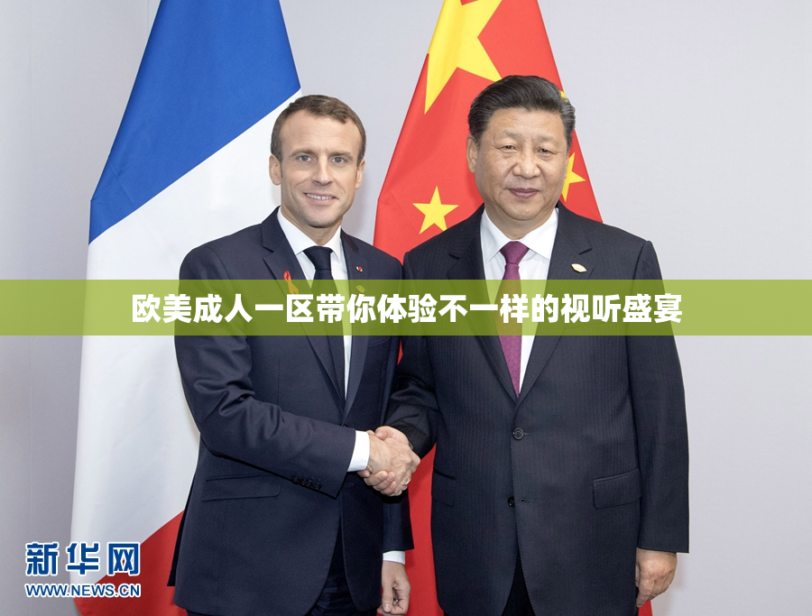 欧美成人一区带你体验不一样的视听盛宴