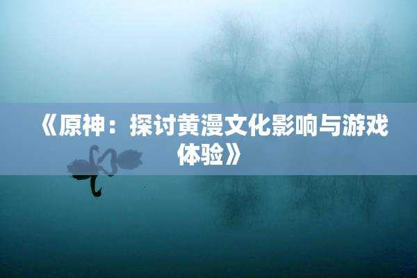 《原神：探讨黄漫文化影响与游戏体验》