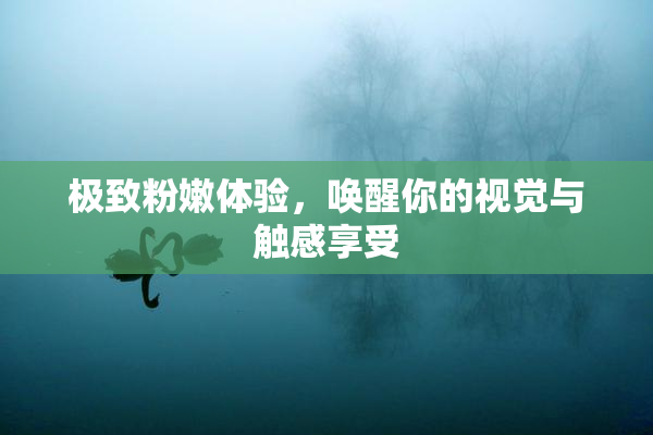 极致粉嫩体验，唤醒你的视觉与触感享受