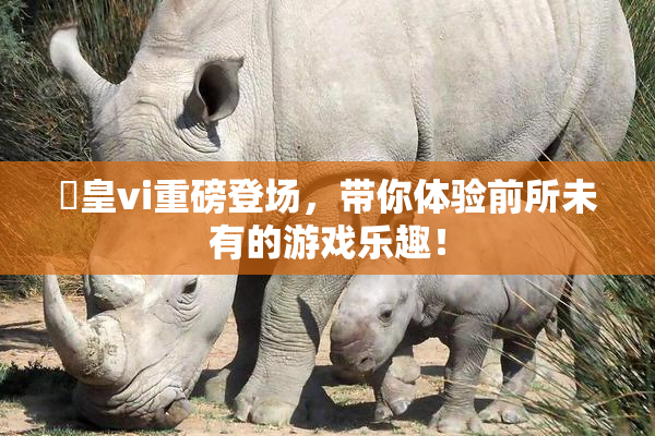 嘼皇vi重磅登场，带你体验前所未有的游戏乐趣！