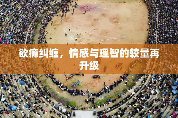 欲瘾纠缠，情感与理智的较量再升级