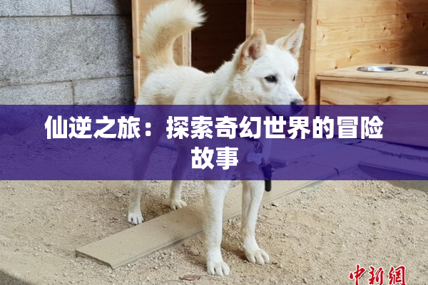 仙逆之旅：探索奇幻世界的冒险故事